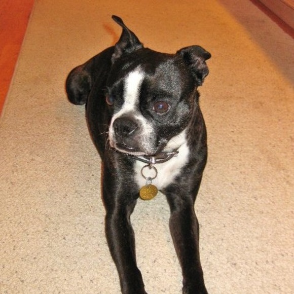 Meet your Posher, Mary - Picture 1 of 1